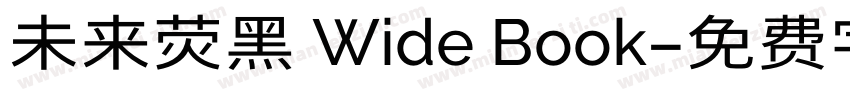 未来荧黑 Wide Book字体转换